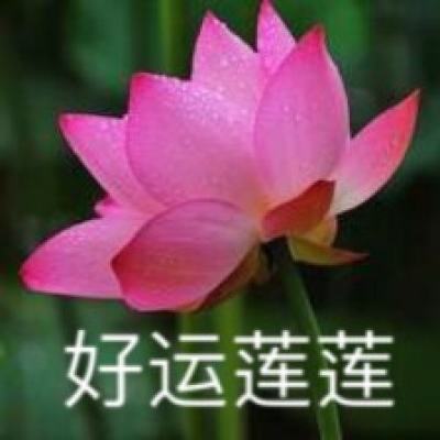 广西北海：党史税法进校园